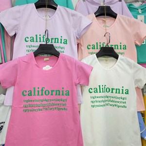 ПРЯМАЯ ПОСТАВКА С ФАБРИКИ МИЗАМ1 VIP ряд 17 20Б 77783719377