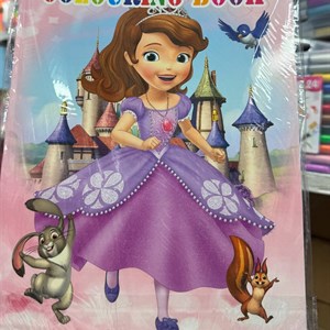 Раскраски оптом и в розницу - большой выбор персонажей!