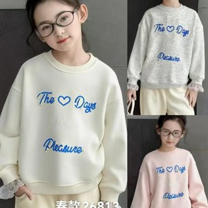 Качественные свитшоты оптом от производителя из Китая | Баластайл