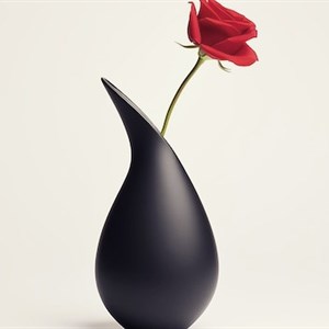    D R E S S B E R R Y     Дордой Европа 1 проход