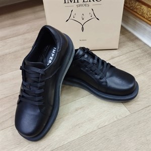 New collection