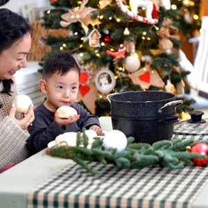 Пароварочные листы Nice Cooker Classic Series ZG 24