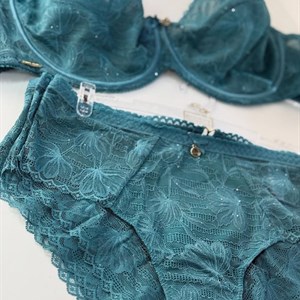 Новинка Удобного Нижнего Белья от Lanny Mode - Бюст и Трусы по Лучше Цене