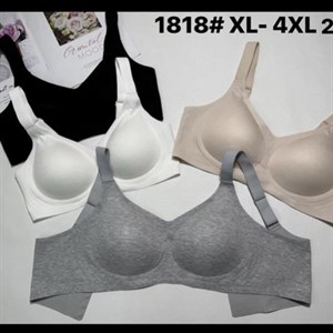 Женское нижнее белье оптом VELENCOSA FNNISS (арт. 1818) большие размеры XL–4XL — 6 шт в упаковке