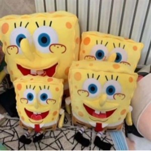 р Дордой проход А2 конт 1710 мягкая игрушка оптом