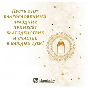 Женская одежда оптом и в розницу В наличии размеры