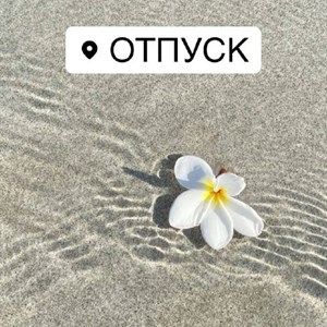 Отпуск команды 7–14 июля — успейте оформить заказы на рынке Дордой