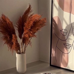 женщины в среднем тратят целый год своей жизни решая