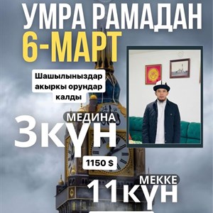 Лучшие носки и лосины оптом от ОПТОМ ДОРДОЙ