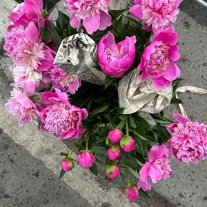 Благодарю и благодарна   MILLI