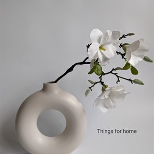    D R E S S B E R R Y     Дордой Европа 1 проход