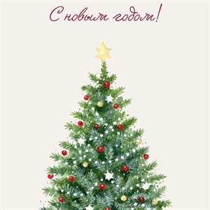 DANA поздравляет Вас с Новым 2024 годом Желаем мира