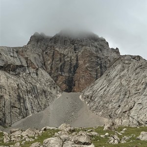 Друзья Mafia Jeans приветствует Вас Предлагаем вам