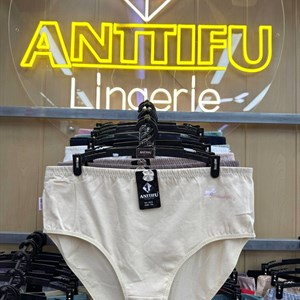 Антифу/Марбут (ANTTIFU/MARABUT) — оптом нижнее белье, 10 расцветок, XL–XXXL, 12 шт в упаковке
