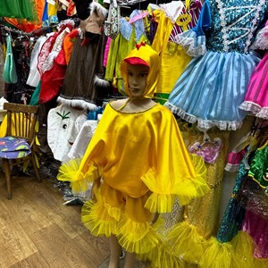 Костюм Цыплят И мальчики и девочки 3 7лет 26 3 размер