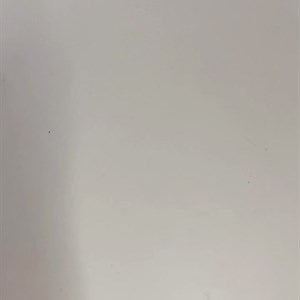 Нежные женские носочки с бантиком - стиль и уют в каждом шаге