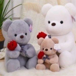 Ми ми мишки Мягкиеигрушки игрушкиДордой