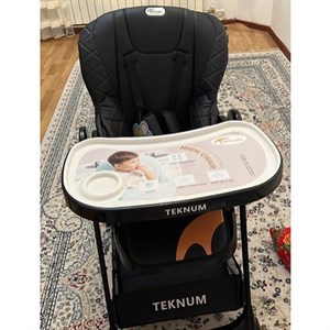 Стульчик Teknum Tk908 это просто балдеж От 4 мес 4
