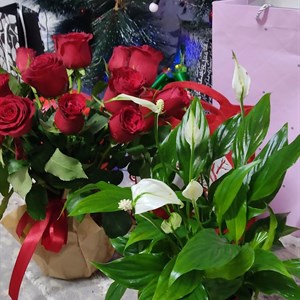 Так приятно чтобы просто поднять мне настроение Цветы