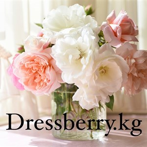    D R E S S B E R R Y     Дордой Европа 1 проход