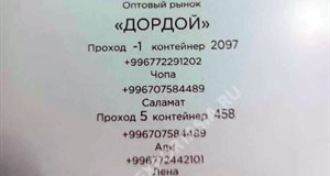 Дордой Мурас-Спорт 5 проход (самопошив) 458